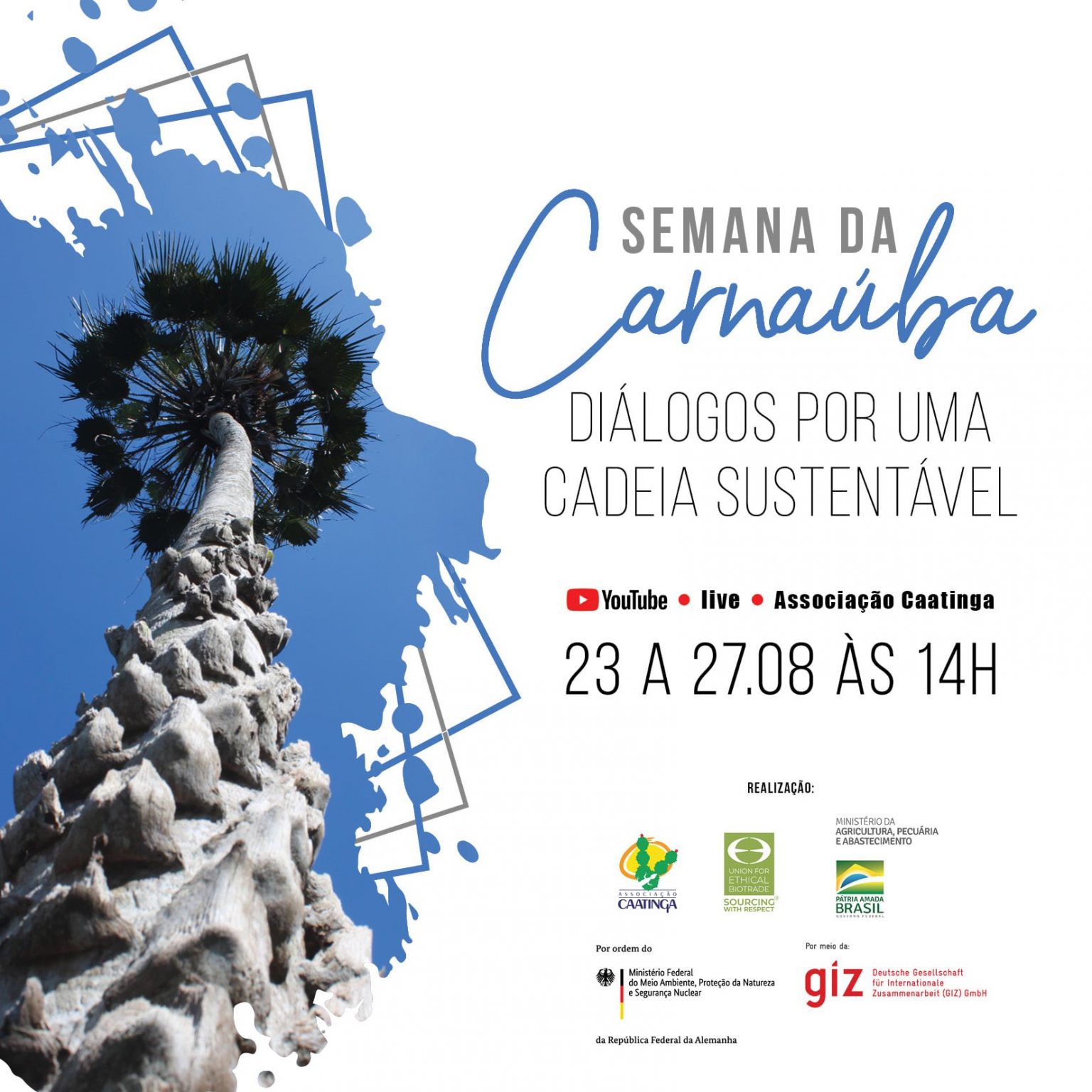 Webinar “Semana da Carnaúba: Diálogos por uma cadeia sustentável” tem apoio da Embaixada da Alemanha