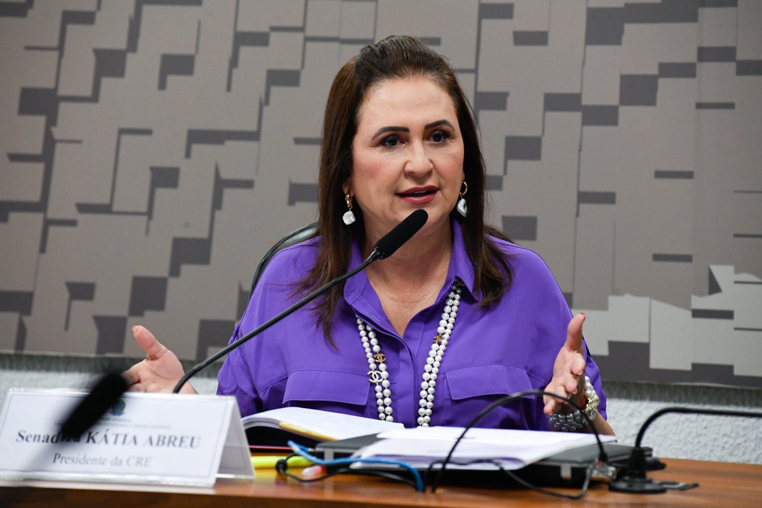 Diplomacia na balança, artigo da senadora Kátia Abreu