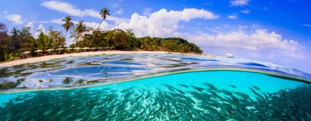 Secretário-geral da ONU diz que prioridade é declarar paz na relação com a natureza