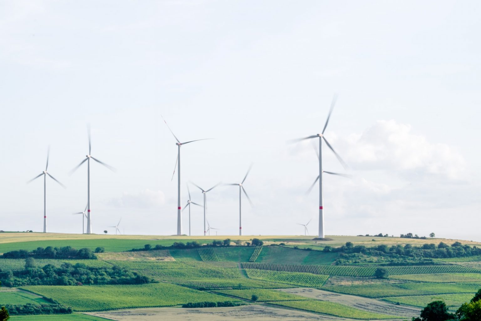 A energia limpa venceu a corrida econômica windmill surrounded by grass during daytime