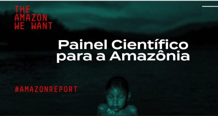 Embaixada da Noruega sedia lançamento do Relatório de Avaliação da Amazônia