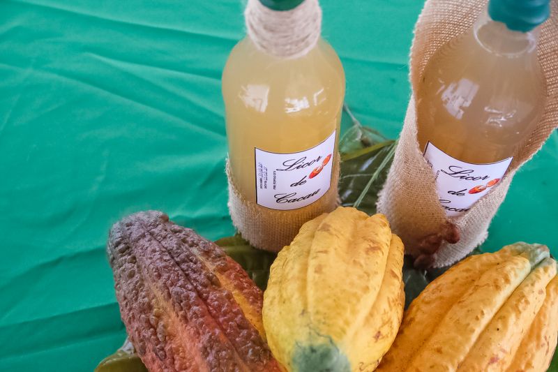 Pará cria Comitê de Comércio Exterior e fortalece política de internacionalização da produção local