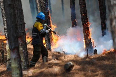 Bombeiros brasileiros auxiliam no combate a incêndios na Argentina