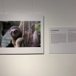 IMG_6606