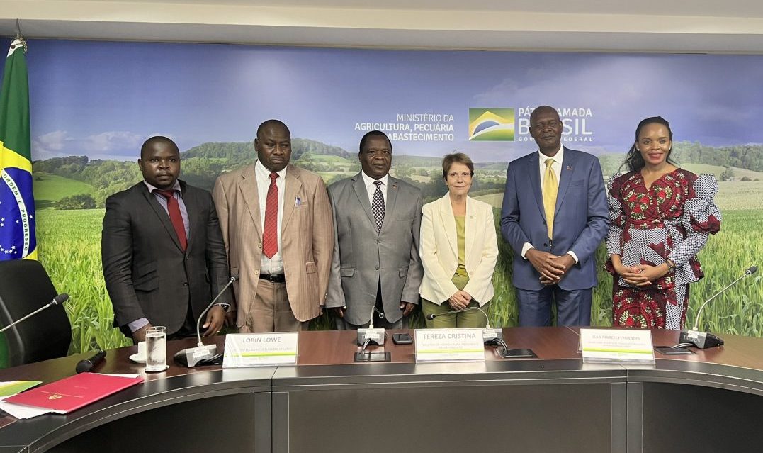 Ministro da Agricultura do Malawi e comitiva reúnem-se com a ministra Tereza Cristina