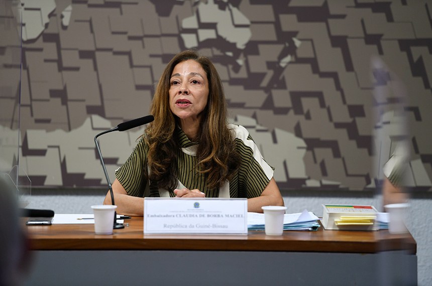 Aprovada indicação de embaixadora para a Guiné-Bissau