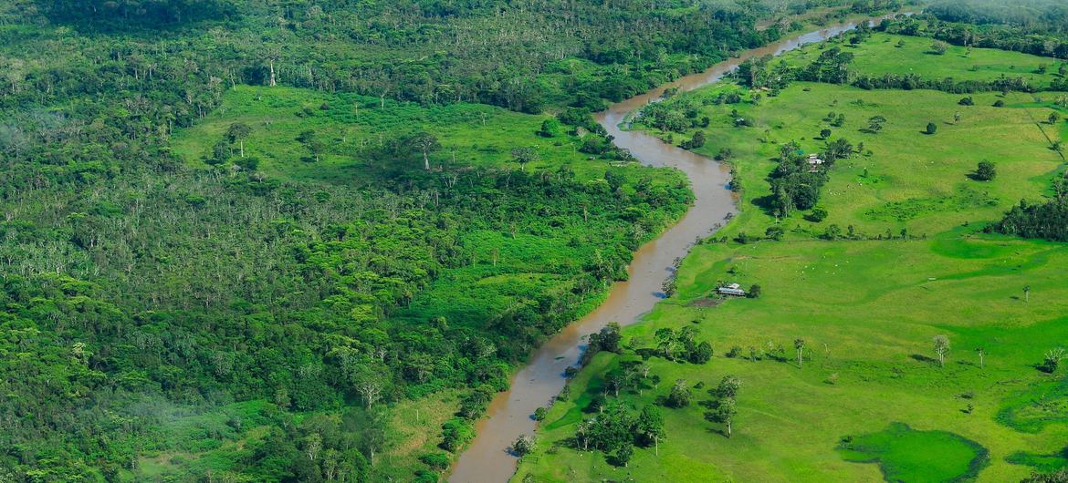 Senadores defendem fortalecimento da atuação do Parlamento Amazônico