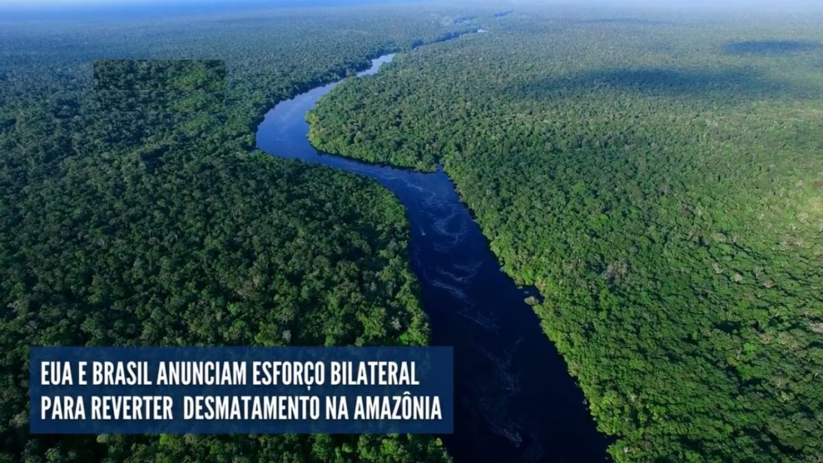 Brasil e Estados Unidos anunciam grupo de trabalho para combate ao desmatamento ilegal