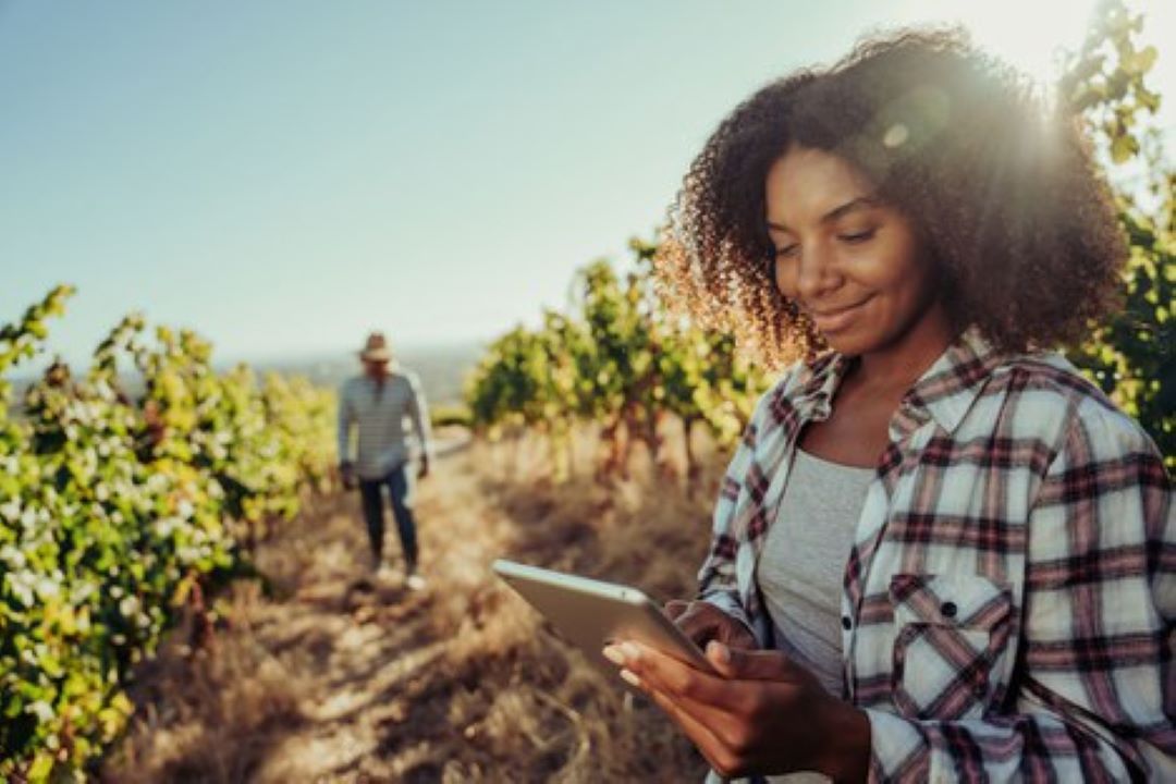 Parceria acadêmica do Brasil com a França seleciona projetos em Agronomia e Veterinária