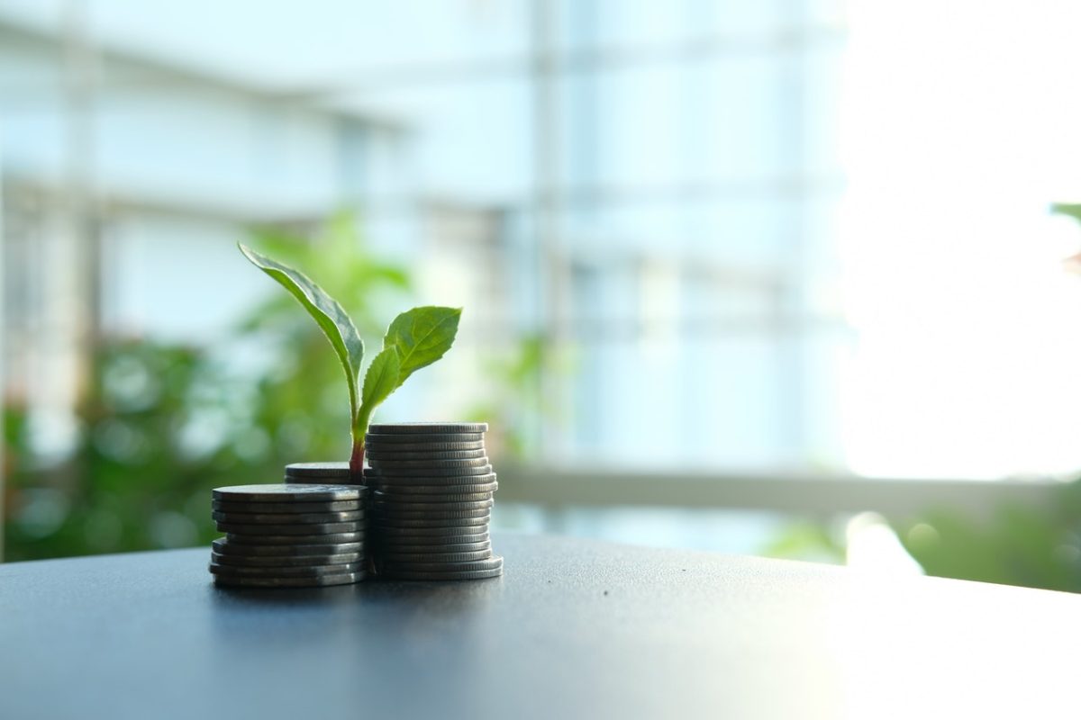 CNseg aprova cooperação entre Brasil e Alemanha para desenvolvimento de finanças sustentáveis