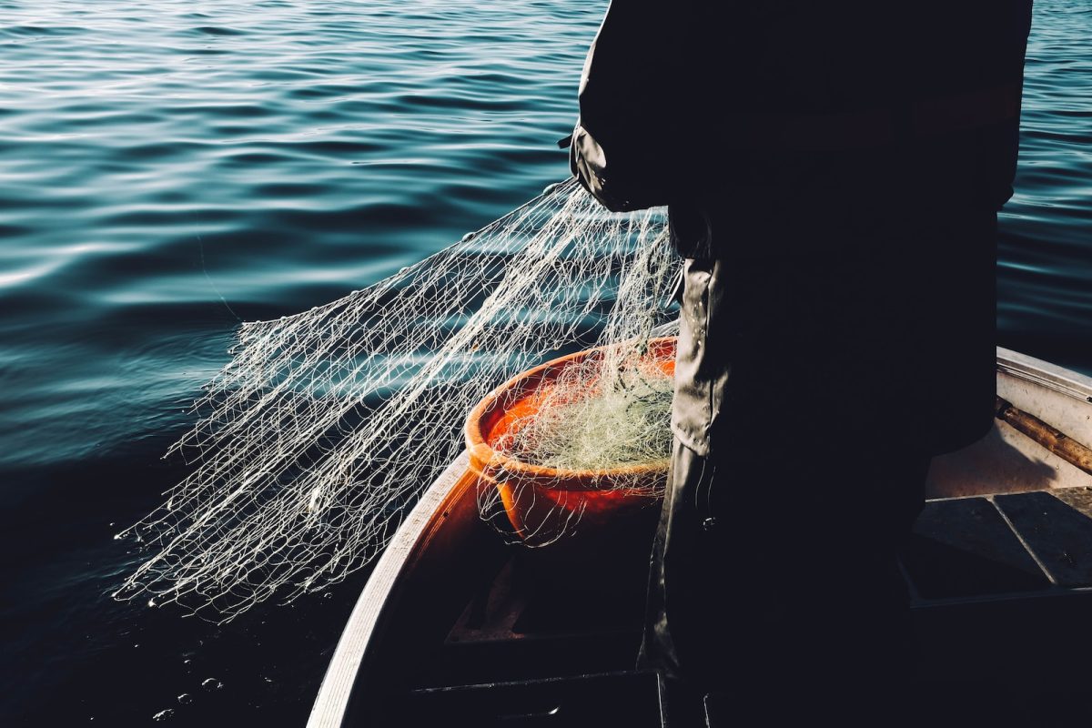 Brasil tem plano de ação global para ampliar a exportação de pescados man holding a fishnet