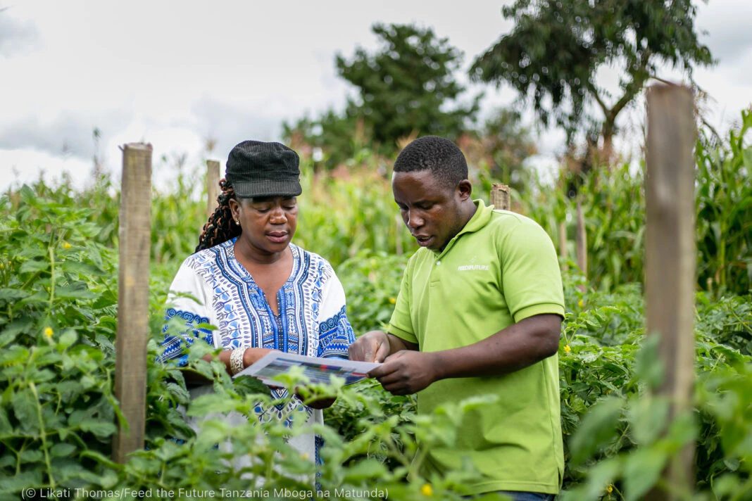 Programa Alimentar o Futuro dos EUA se expande para oito países africanos