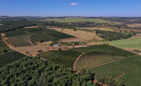 Clima e logística afetarão exportações de café do Brasil