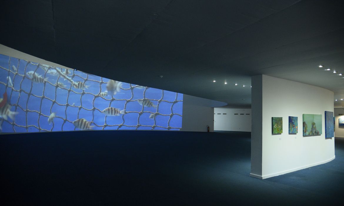Exposição sobre oceanos em Niterói integra agenda global da Unesco