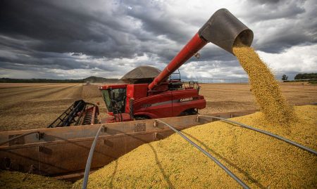 Brasil estima safra recorde de 261,9 milhões de toneladas em 2022