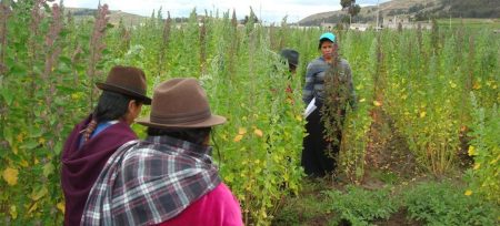 Combate à insegurança alimentar na América Latina passa por reforço da proteção social e agrícola