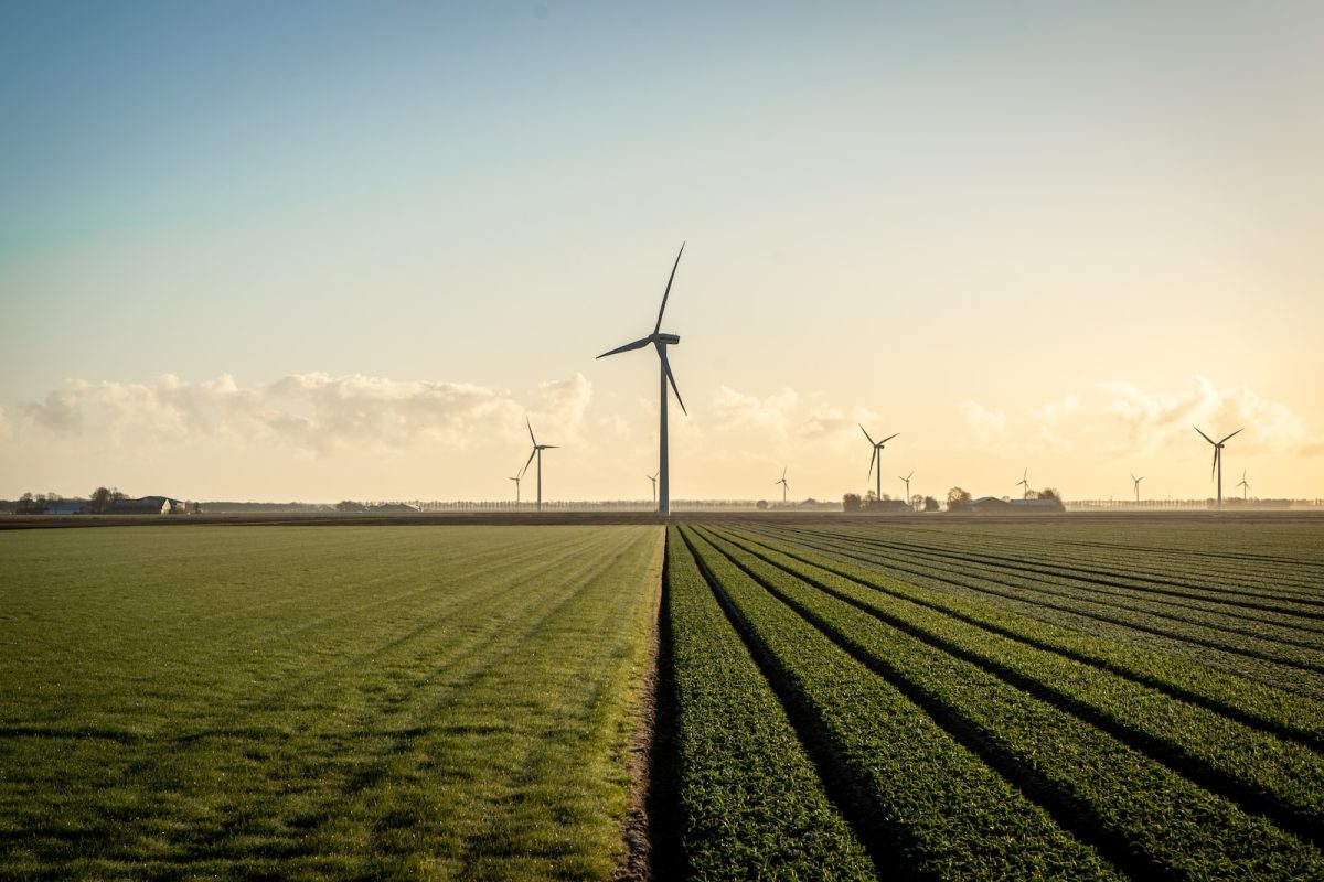 União Europeia decide quase dobrar energias renováveis até 2030 wind turbines on green grass field under blue sky during daytime