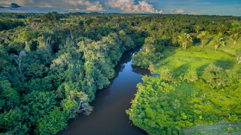 MCTI e Itamaraty discutem preparação da Cúpula da Amazônia