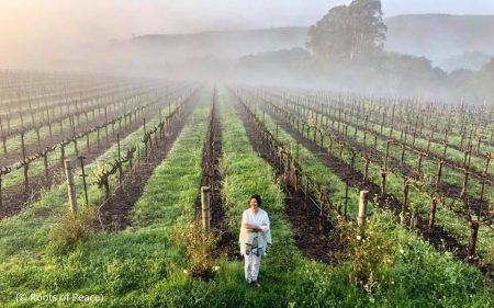 Laureada com o Prêmio Mundial da Alimentação transforma ‘minas em vinhas’