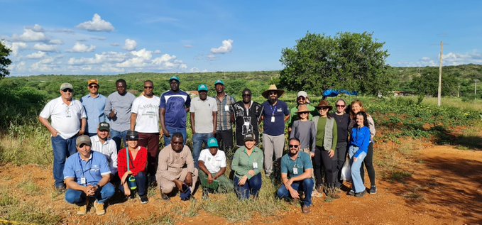 Delegação senegalesa faz visita ao Brasil para conhecer tecnologias agrícolas brasileiras