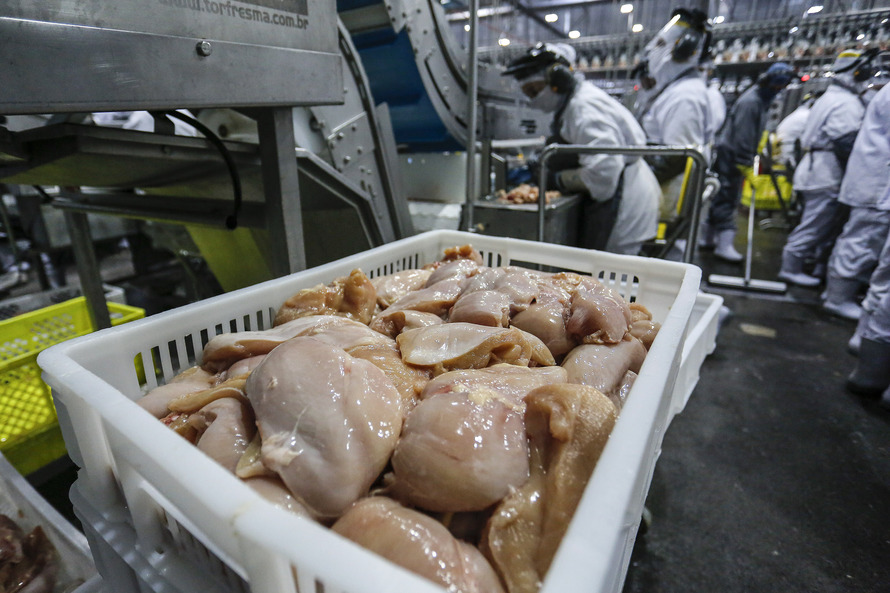 Exportações de frango fecham 1° semestre com alta de 8,5%