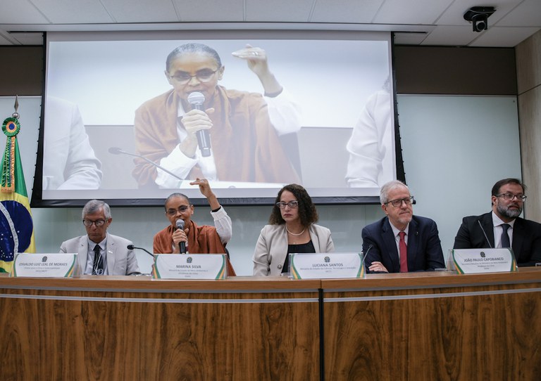 Desmatamento na Amazônia cai 42,5% nos sete primeiros meses de 2023