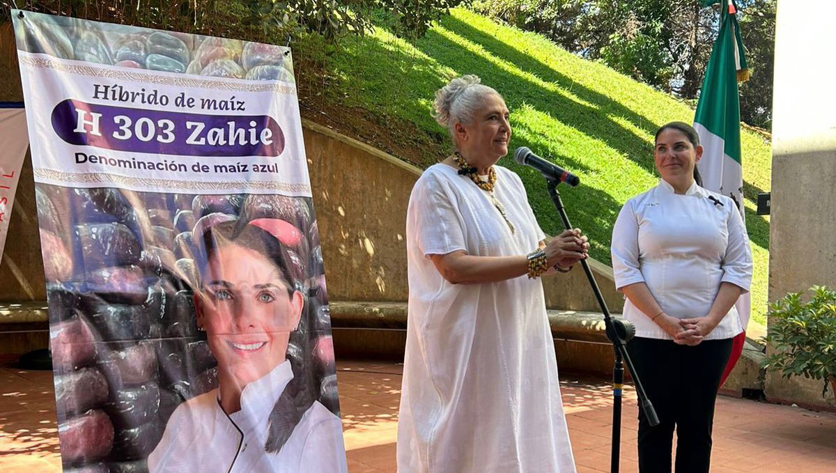 Embaixadora do México realiza mostra gastronômica “Maíz Azul”
