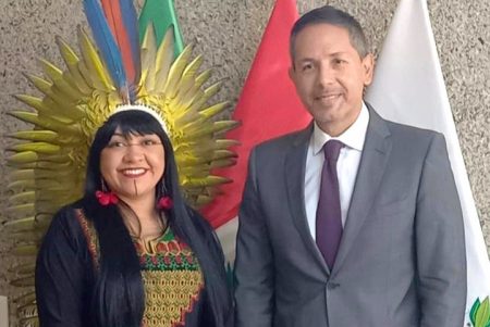 Embaixador do Peru se reúne com deputada Célia Xakriabá