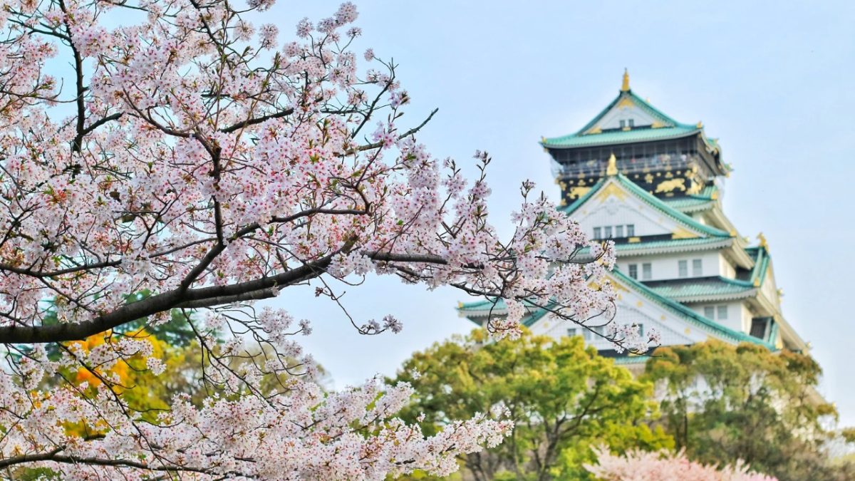 Japão: terra das sakuras