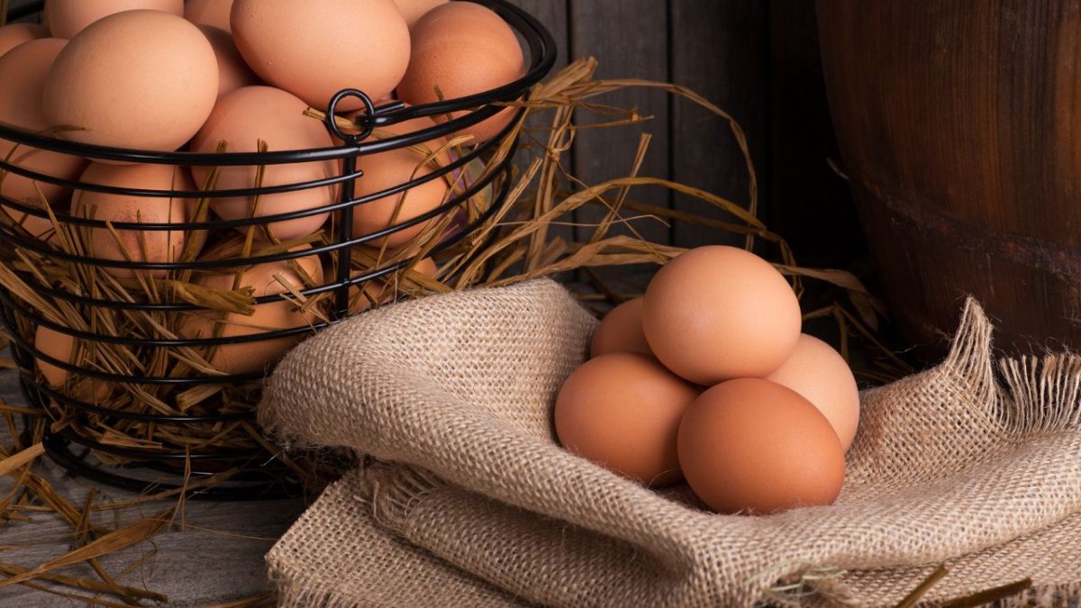 El Salvador abre mercado para exportações brasileiras de ovos e de carne de aves