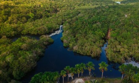 NASA expande uso de ferramenta hídrica para proteger a Amazônia