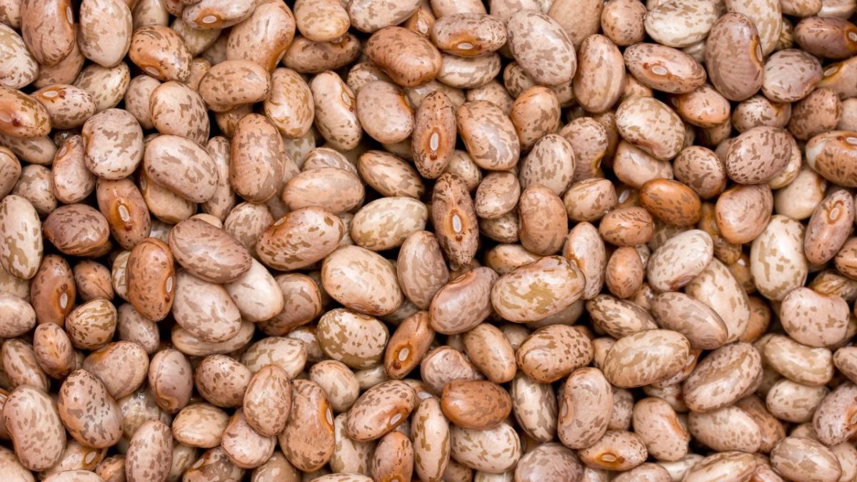Embaixada Mexicana recebeu o IBRAFE