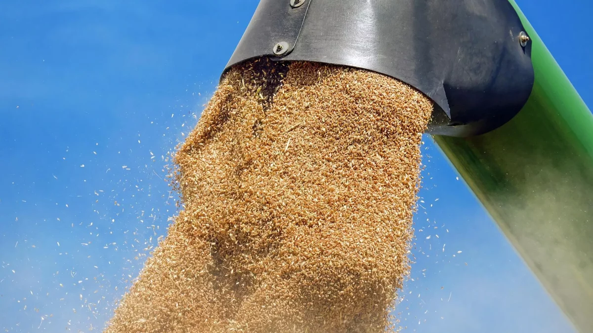 Rússia trabalha para excluir sanções às exportações agroalimentares para a Ásia e África