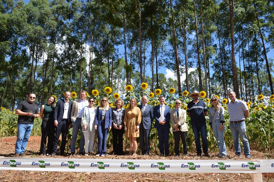 Embaixadores de países-membros da Parceria das Declarações de Amsterdã conhecem Unidade