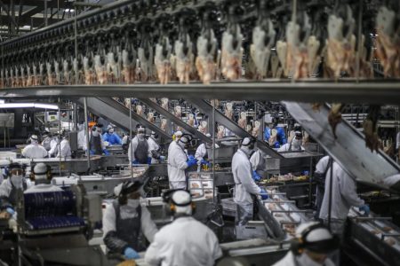 Brasil envia 10 mil toneladas de frango à Argélia