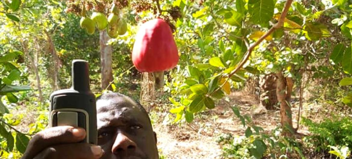 Guiné-Bissau quer mais fundos e solidariedade para promover avanços nos Sids
