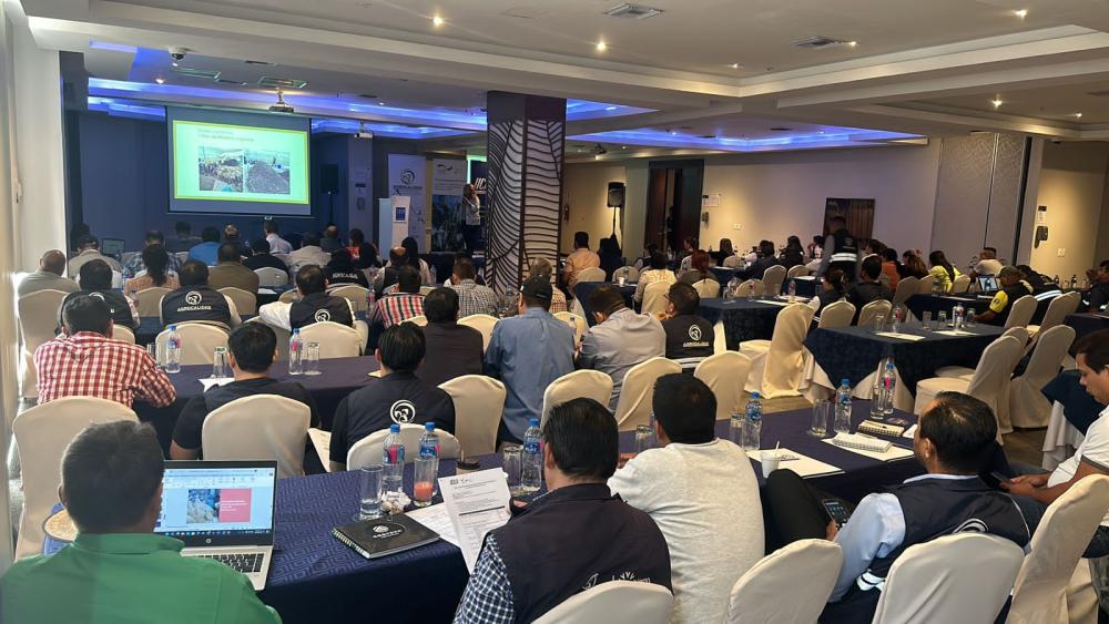 Produtores de banana do Equador se capacitam em projeto da GIZ e do IICA