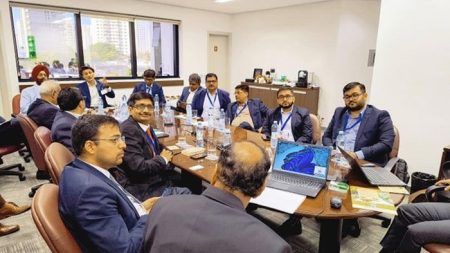 Delegação indiana visita o Brasil e fortalece indústria de óleos vegetais nos dois países