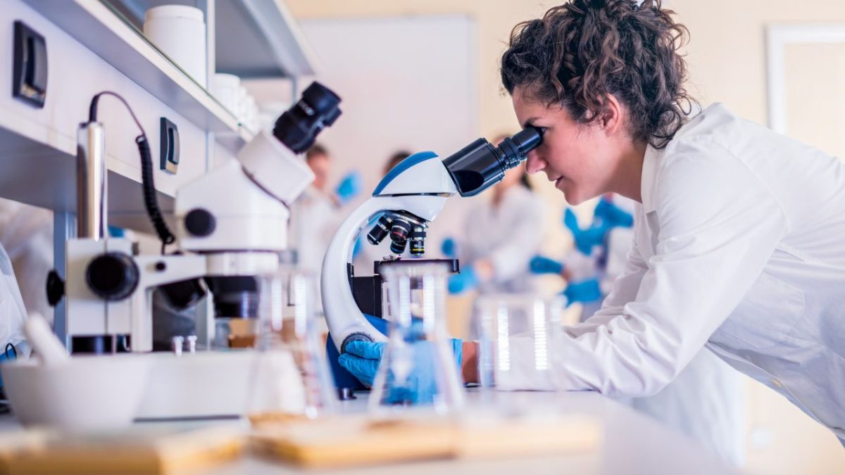 FAPERJ e Embaixada da França anunciam resultado do 4º Edital de Mobilidade Internacional
