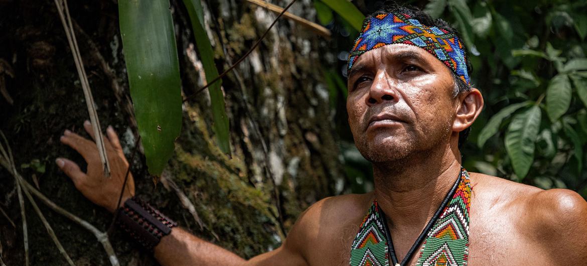 Em Dia Internacional, ONU destaca papel do conhecimento indígena para conter crise climática