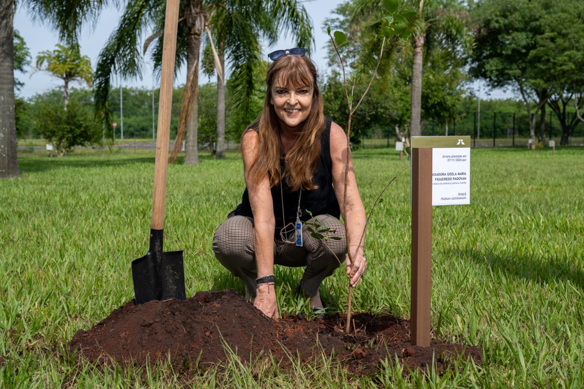 Embaixadora Gisela Padovan visita a Itaipu