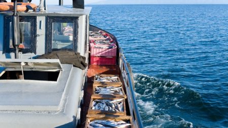 Noruega e Rússia assinam acordo de pesca para 2025