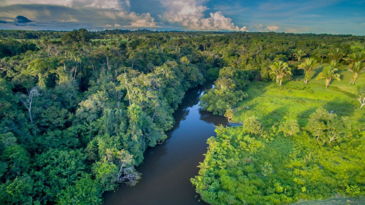 Fundo Amazônia tem nova doação de US$ 60 milhões da Noruega