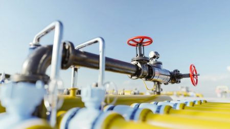 CNPE impulsiona agenda de desenvolvimento sustentável do setor de petróleo e gás natural em 2024