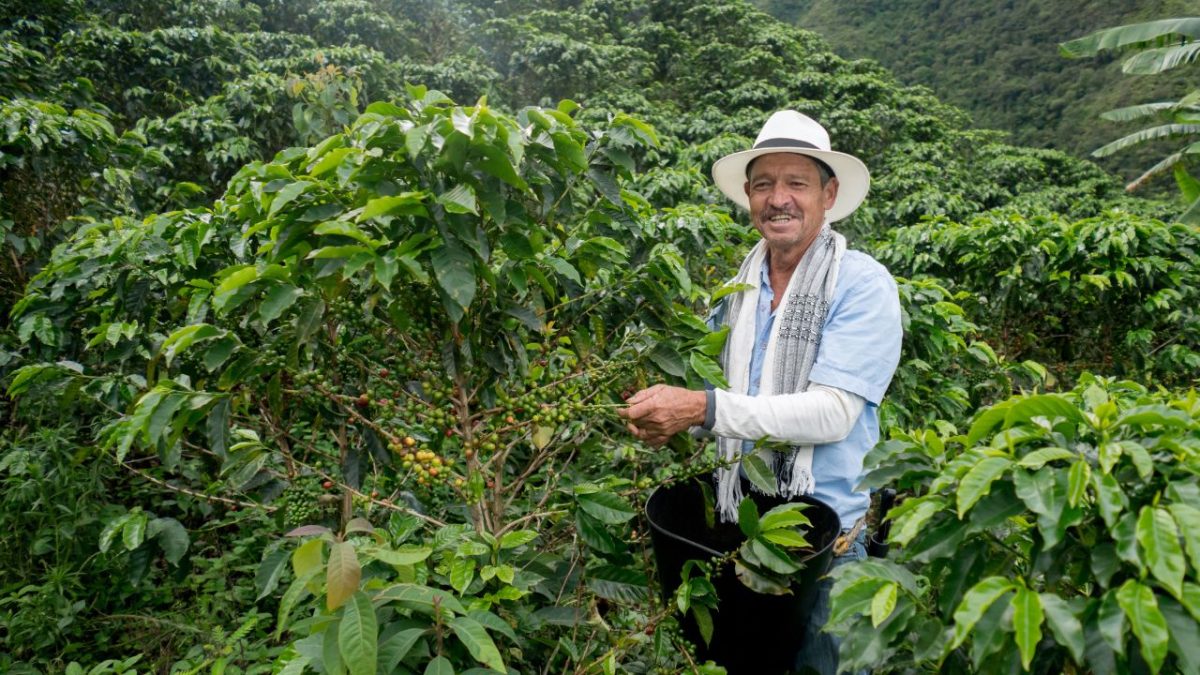 Como as iniciativas comunitárias da Colômbia aumentaram a sustentabilidade, a inclusão e a paz