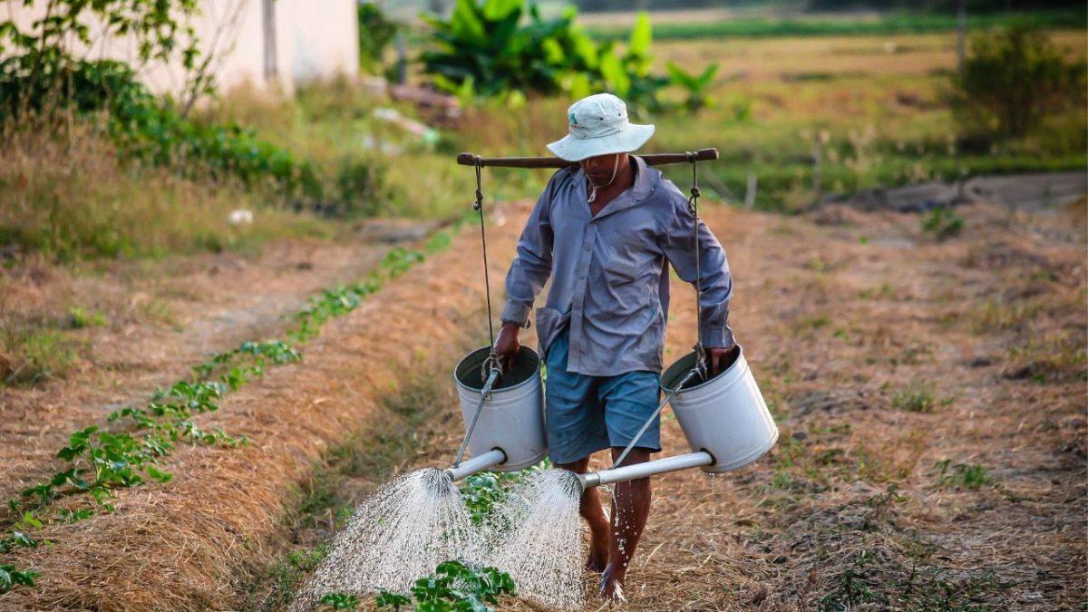 Austrália continua apoiando o PNUD para enfrentar os desafios globais do desenvolvimento