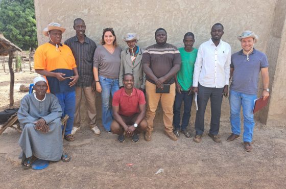 Missão no Senegal realiza avaliação do projeto de aumento da produtividade do algodão
