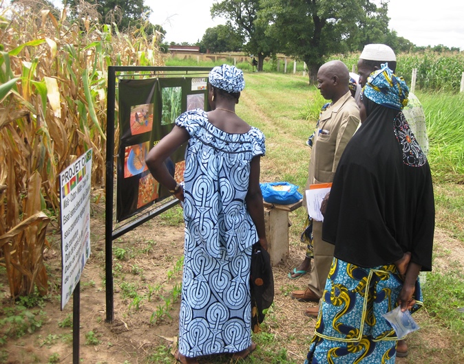 Embrapa, IICA e ABC lançam Diálogo África-Brasil para fortalecer cooperação em agricultura com o continente africano