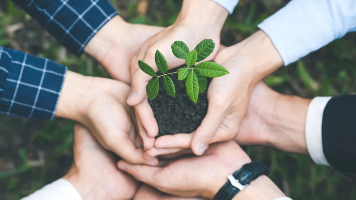 A educação ambiental no âmbito internacional