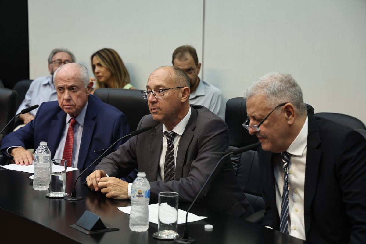 Comissão de Relações Internacionais da Alesp aprova criação de ‘Grupos de Amizade entre Nações’